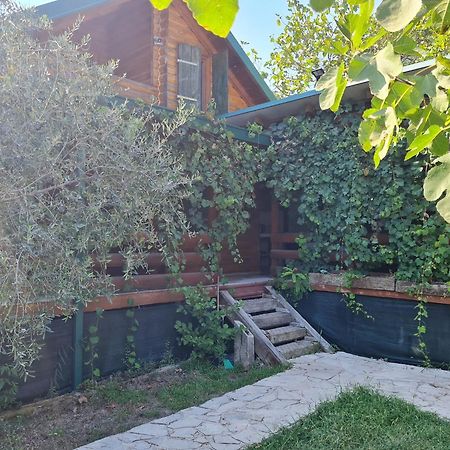 Holiday Home Kite House Ulcinj Exteriér fotografie